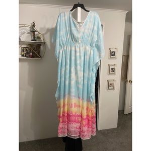 Speed Control New York Pink and Blue Maxi Dress